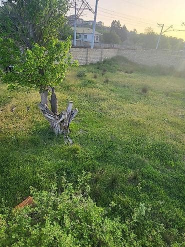 kampaniyada olan evler: Tikinti — 9