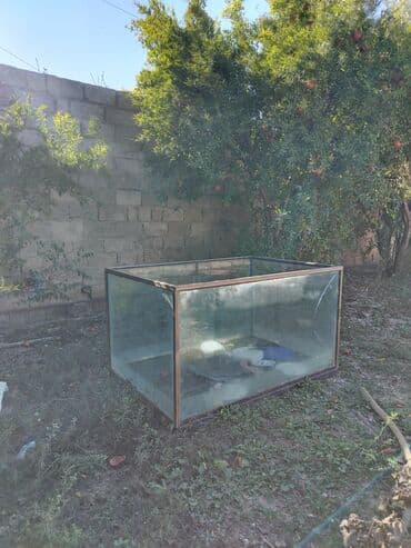 купить аквариум: Böyük şüşə akvarium - Material: qalın şüşə panellər, künclərdə — 1