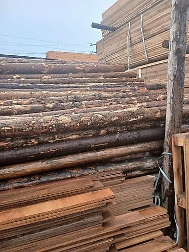 pip agaci: Məhsul: Şam ağacından yumru dirəklər və taxta materialları Təsvir: - — 4