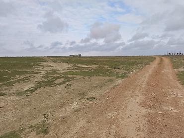 lenkeranda satisda olan evler: 8 sot, Kənd təsərrüfatı, Kupça (Çıxarış) — 7