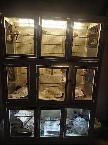 Çoxbölməli quş qəfəsi/voli̇er şkafı - 3 səviyyə, 9 ayrı bölmə: hər lalafo.az -da Çoxbölməli quş qəfəsi/voli̇er şkafı - 3 səviyyə, 9 ayrı bölmə: hər