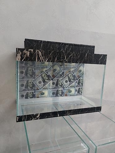 it yuvası satilir: Şüşə akvarium – dekorativ “dollar” fonlu - Material: qalın temperli — 2