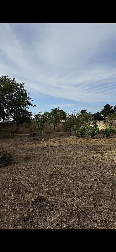 merdekanda torpag: 2 sot, Tikinti, Mülkiyyətçi, Kupça (Çıxarış) — 2