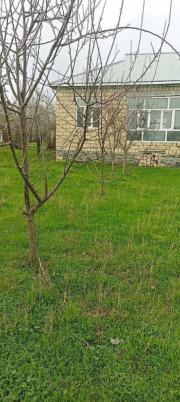 yeni suraxanıda: Qəbələ, 100 kv. m, 5 otaqlı, Hovuzsuz, İnternet — 4