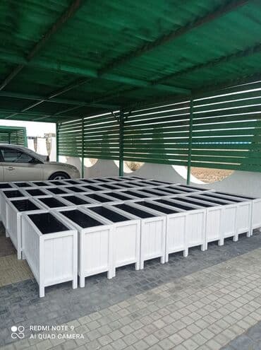 dibçek gulleri: Dibçək güldanlar. Dipçəklər bir başa sexdən.Sex qiymətinə. ♦️Endrim — 1