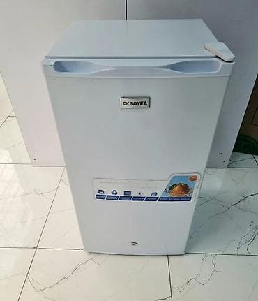 qapi zvanoku: Soyuducu mini soyuducu soyducu Soyea Iki qapılı və bir qapılı — 3