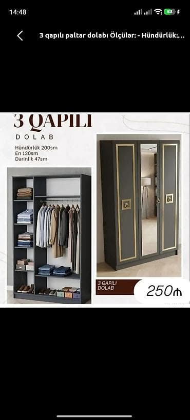 şef qapi: Yeni, 3 qapılı, Güzgülü, Boz, Açılan, Düz dolab — 1