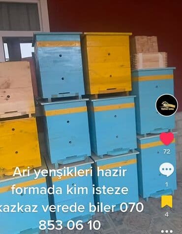 dovşan satılır: Ari yenşikləri satilir .yenidir saylari məhtudur — 1