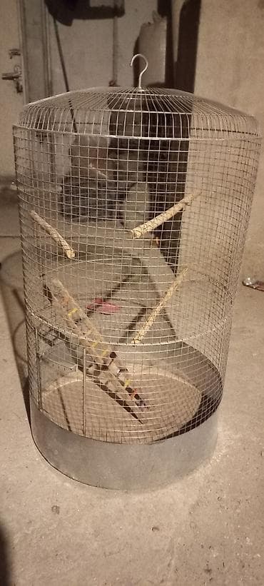Quş qəfəsləri – dairəvi metal konstruksiya. Iwlenmeyib yeni hazirlanib