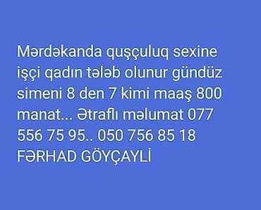 evde daye: Xadimə tələb olunur, Növbəli qrafik, Aylıq ödəniş — 1