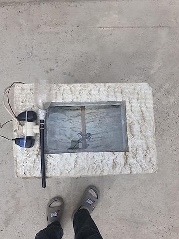 Bütün növ quşlaq üçün