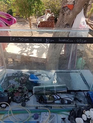akvarium satilir: Akvaryum və tam aksesuar dəsti Ölçülər (şüşə akvaryumun üzərində qeyd — 1
