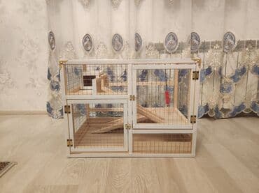 Dovşan,hamster,dağ