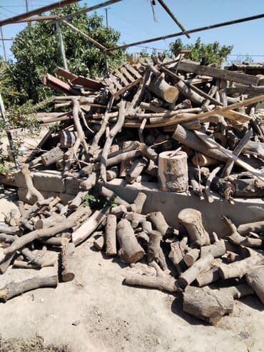 натяжные потолки в баку цена: Qışlıq odun — 1