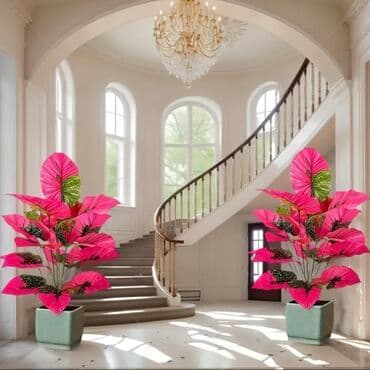 dekarativ guller: 🌸 İstədiyiniz dibçəyi, istədiyiniz ölçüdə yığırıq! 🏡 Evlər, ofislər — 17