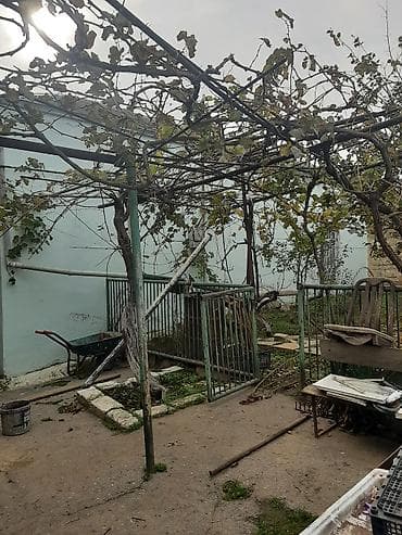 Daşınmaz əmlak: 13 sot, Tikinti, Maklerlər narahat etməsin, Bələdiyyə, Kupça (Çıxarış) — 3