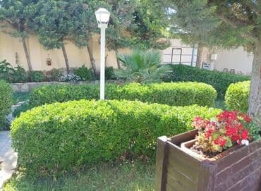 ev certiyojları: Şüvəlan qəs., 140 kv. m, 3 otaqlı, Hovuzlu, Kanalizasiya, Qaz, Su — 10