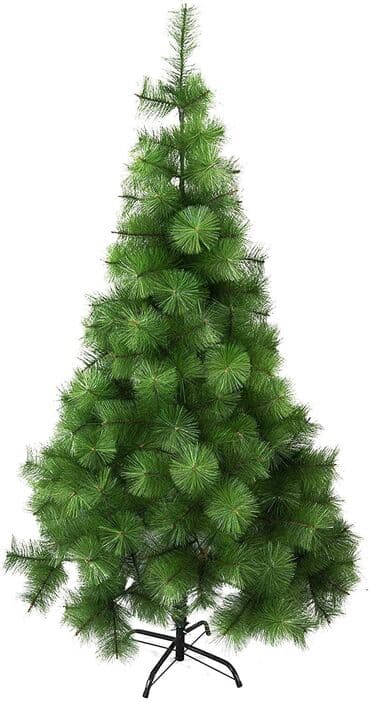 böyük yolka: Yolka — 1