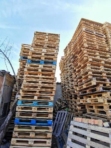 Paletlerin satiwi ve alişi lalafo.az -da Paletlerin satiwi ve alişi