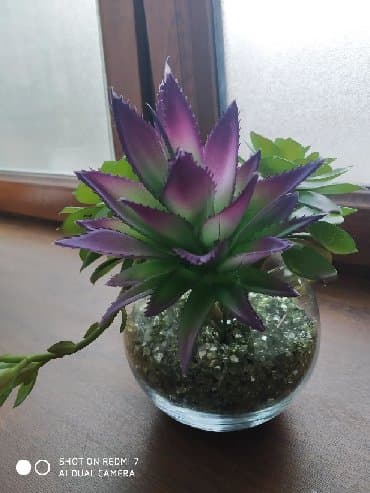 цветы искусственные: ИКЕА дерокация : 3 каменных цветка (искусственные).,щебень зелёного — 3