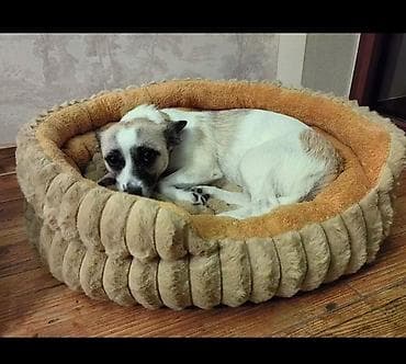 gence it: Yumuşaq, qalın və tüklü itlər və pişiklər üçün yataq. XL ölçü — 2