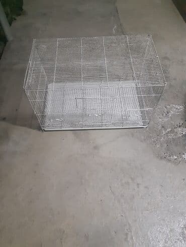 2 si biryerde 70

- yalniz whatcapla