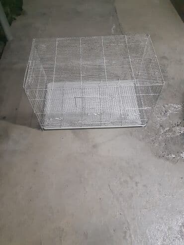 baliq tutmaq ucun yemler: 2 si biryerde 100manat

- yalniz whatcapla — 2