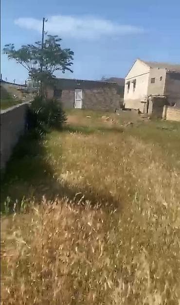 Mülkiyyətçi, Kupça (Çıxarış) — 1