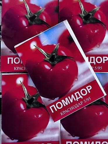 salat: Toxum dəsti – pomidor və xiyar sortları Məhsulun tərkibi (poliqrafik — 1