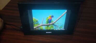 виза в бельгию: Новый Телевизор Sony Самовывоз — 4