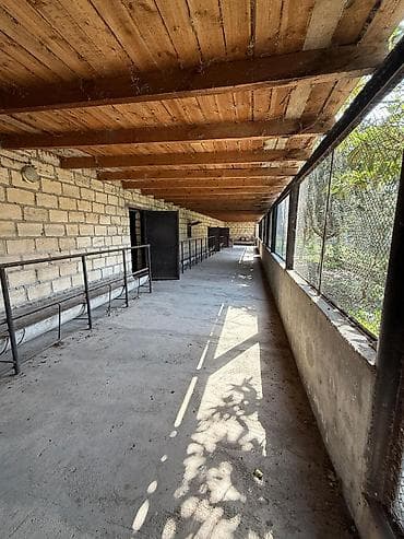 Qarajlar: Kənd təsərrüfatı — 7