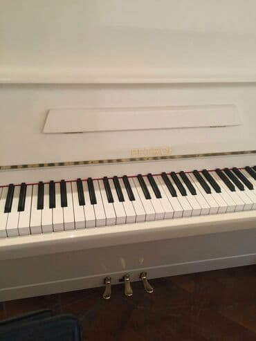 terlan elekberov: Pianino PETROF Cexya stehsalı. Ideal vəziyyədə. Cadırılma və köklənmə — 6