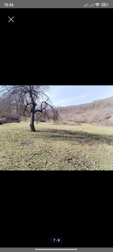 kirayə evlər gəncə 2023: Kənd təsərrüfatı, Kupça (Çıxarış) — 2