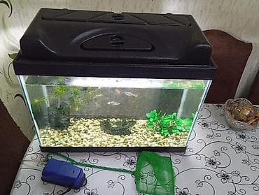 akva: Salam. Zavod istehsali akvarium satilir.Sekilde gorduyunuz kimi qapagi — 3