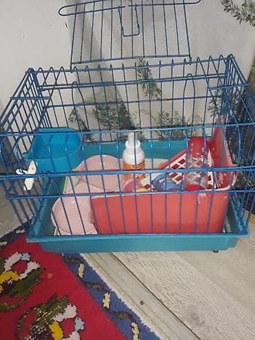 ev dovşan: Heyvan qəfəsi və aksesuar dəsti - Material: mavi metal karkas, möhkəm — 2