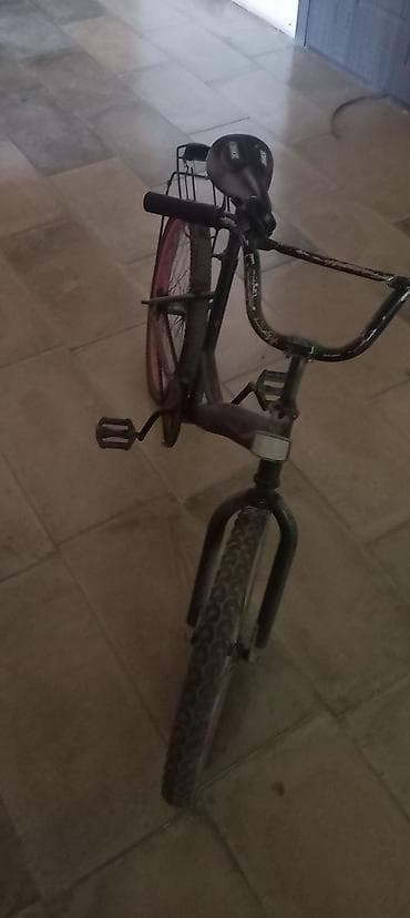 wolf bicycle: Uşaq/yeniyetmə velosipedi – şəhər və məhəllə sürüşləri üçün rahat — 1
