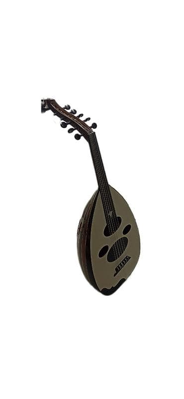Ud, ərəb udu, ekvalayzerli Rast musiqi alətləri mağazası. Əhmədli