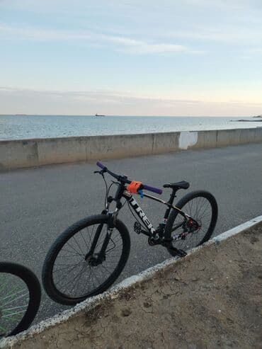 ош кыз керек: 1200 — 2