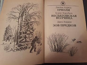 selenium sulfide shampoo: Книги:Джек Лондон "Собрание сочинений"(4 тома) и другие на русском и — 3