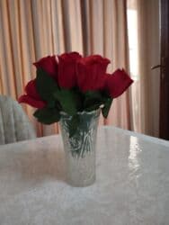 Gül və güldan plasmasdan