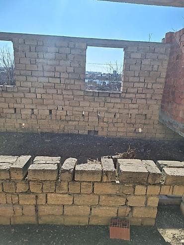 bine qesebesinde: Kənd təsərrüfatı — 8