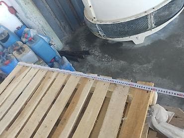 palet soba: Pallet, 1000 х 1200 sm — 2