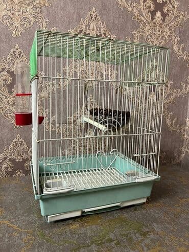 Qəfəslər: Quş qəfəsi satılır. - Material: metal şəbəkə və möhkəm plastik altlıq — 2