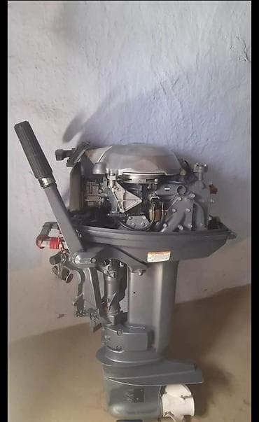 gəmi kəndiri: Mercury 25, 1.1 l, Benzin, 2019 il, Orijinal, Rusiya, İşlənmiş — 8