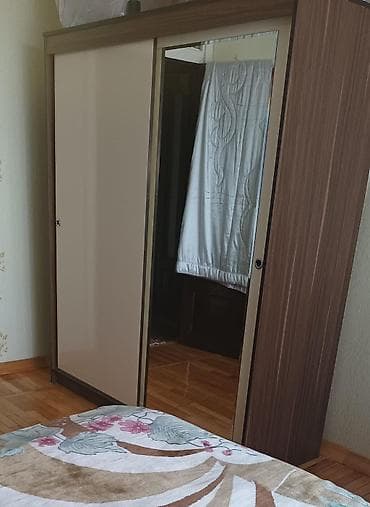 2 двери, С зеркалом, Коричневый, Дерево, Купе, Прямой шкаф