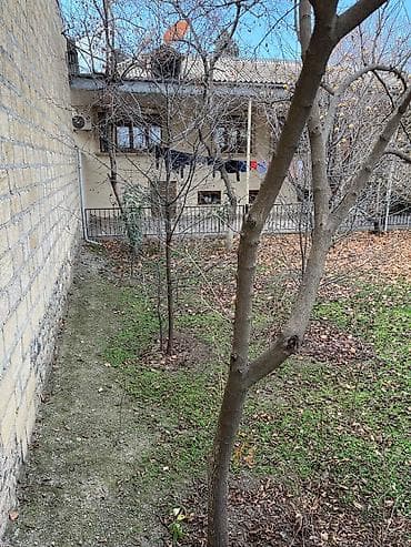 nerd satışı: 2 sot, Tikinti, Mülkiyyətçi, Kupça (Çıxarış) — 5
