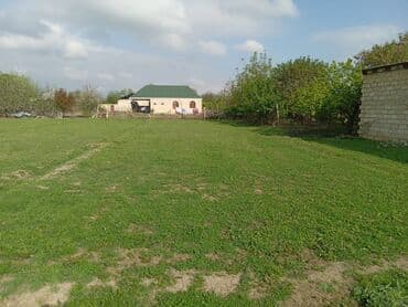 аренда и продажа недвижимости: 8 sot, Kənd təsərrüfatı, Maklerlər narahat etməsin, Kupça (Çıxarış) — 1