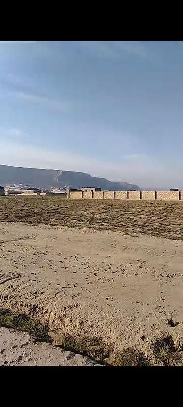 qobuda: 4 sot, Tikinti, Mülkiyyətçi, Kupça (Çıxarış) — 4