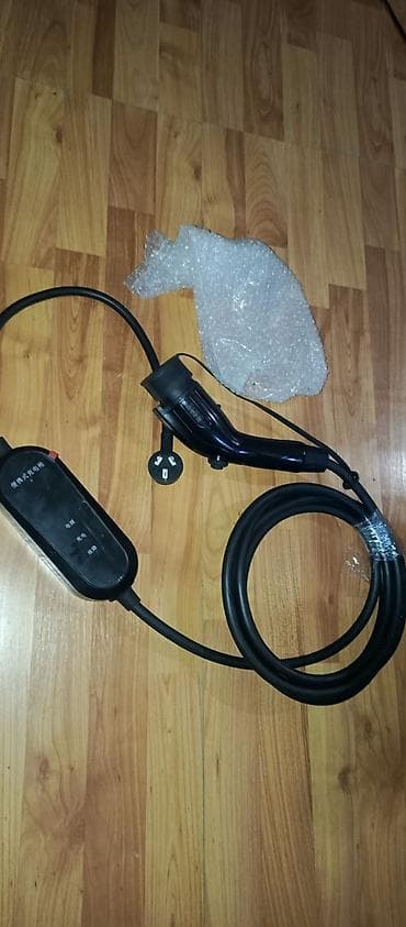 EV şarj kabeli və portativ şarj cihazı (ICCB) - Giriş: 220–250 V AC