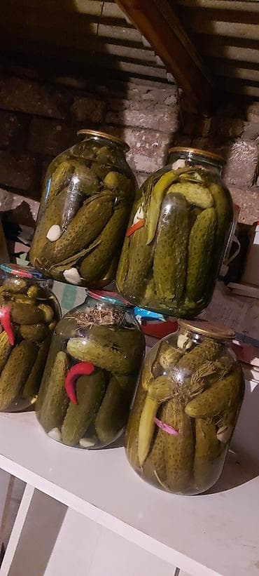 patron xiyar: Turşular hamısı ev bağlamasıdır balonlar tam doludur dadına söz ola — 3